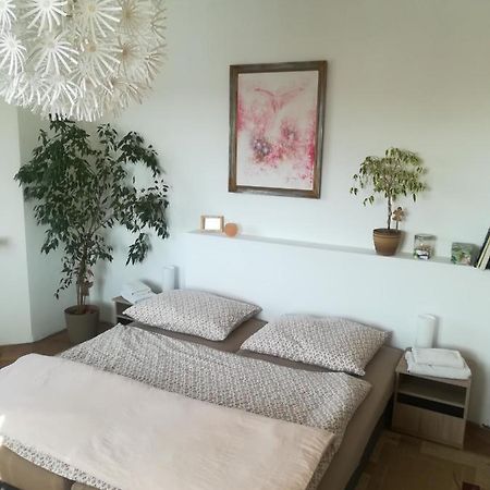 Penzion Flora Жатец Экстерьер фото