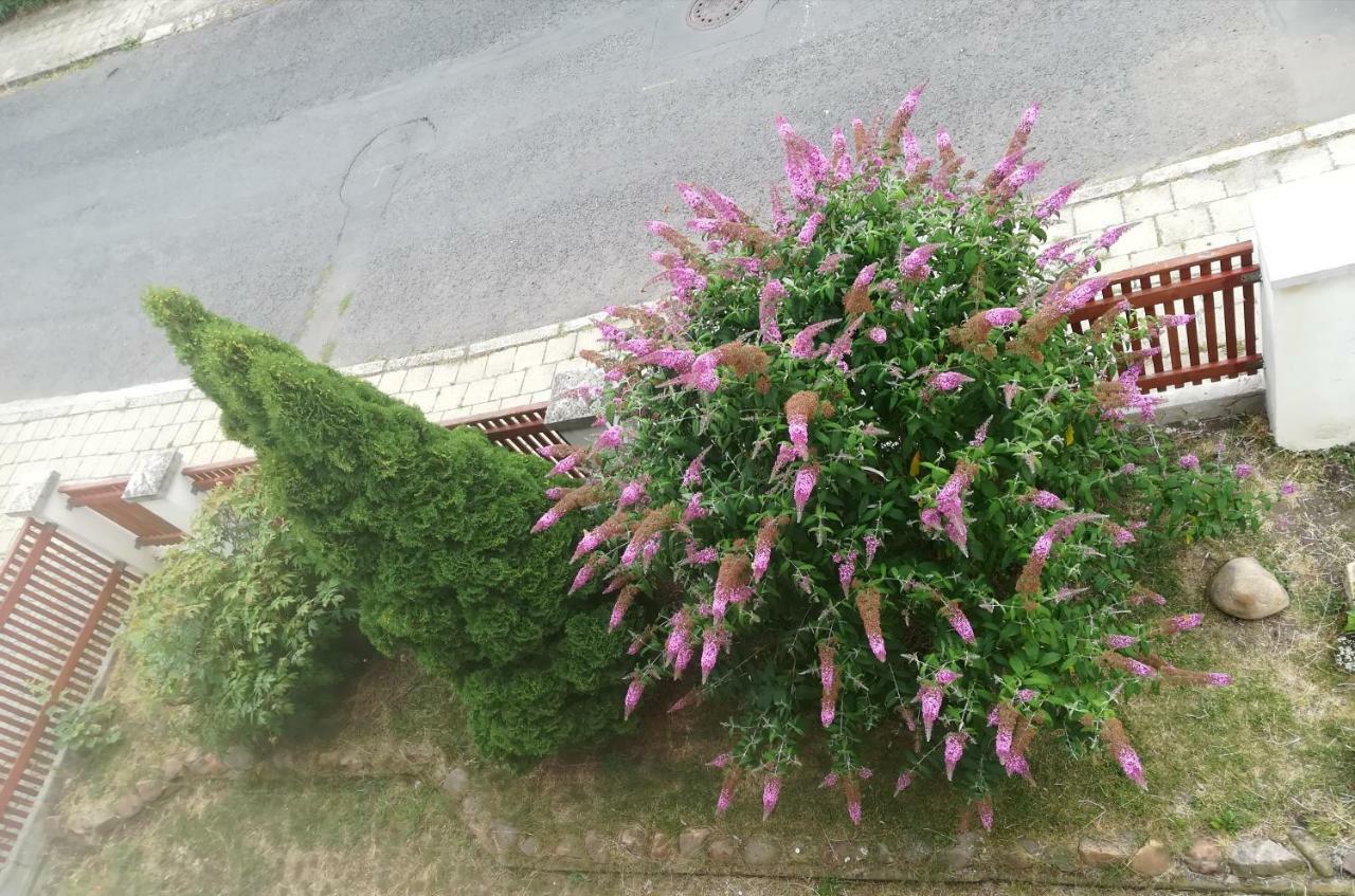Penzion Flora Жатец Экстерьер фото