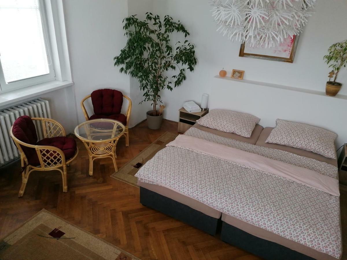 Penzion Flora Жатец Экстерьер фото